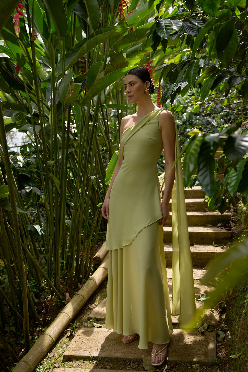Vestido Lirio